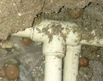 新密测漏水多少钱