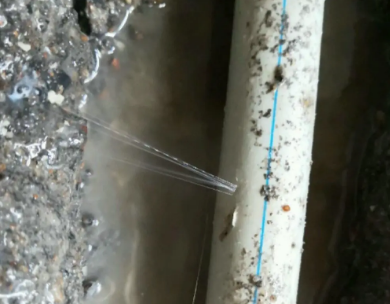 新密测漏水哪家好