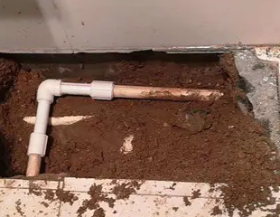 新密测漏水哪家好