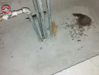 新密卫生间测漏水价格明细