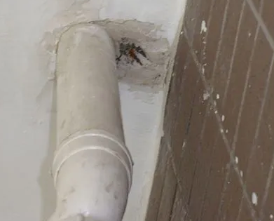 新密漏水检测哪家好